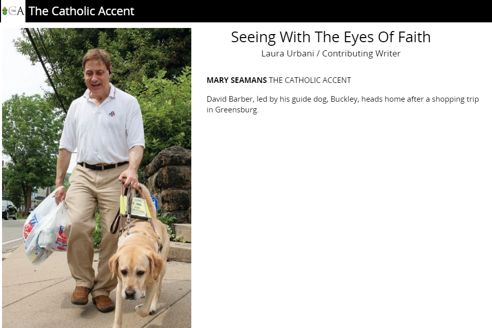 A picture of David walking on a street with his guide dog